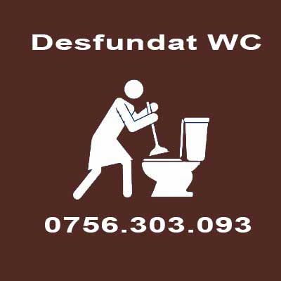 Desfundari WC Sector 4