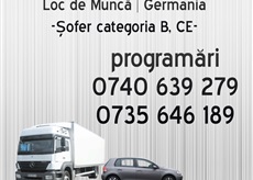 Angajam urgent soferi germania