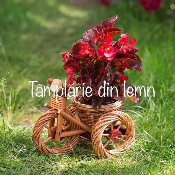 Suport flori Bicicleta si tractor rustice, din rachita
