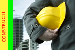 Oferte munca Finisaje, Strainatate,Jobs