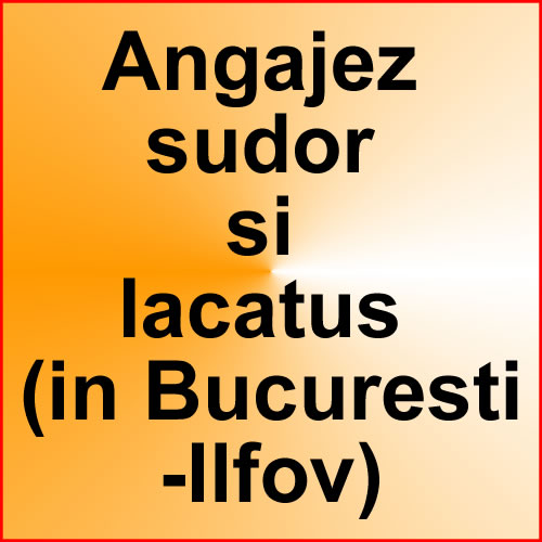 Firma, angajez sudor si lacatus (in Bucuresti-Ilfov)