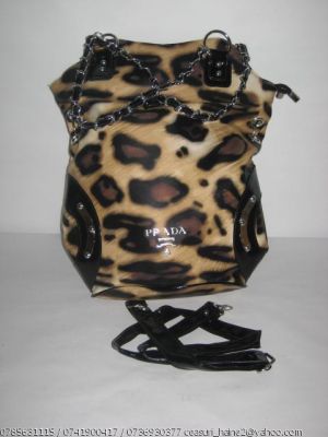 Geanta Louis Vuitton  Gucci Dior Versace - Modele 2012
