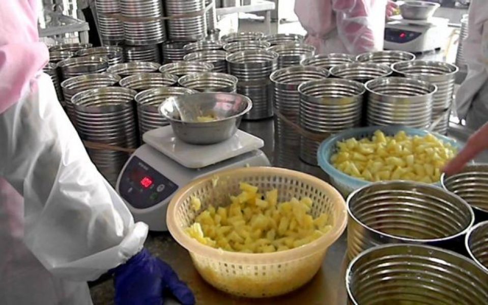 Fabrica de conserve din Germania 1600 euro