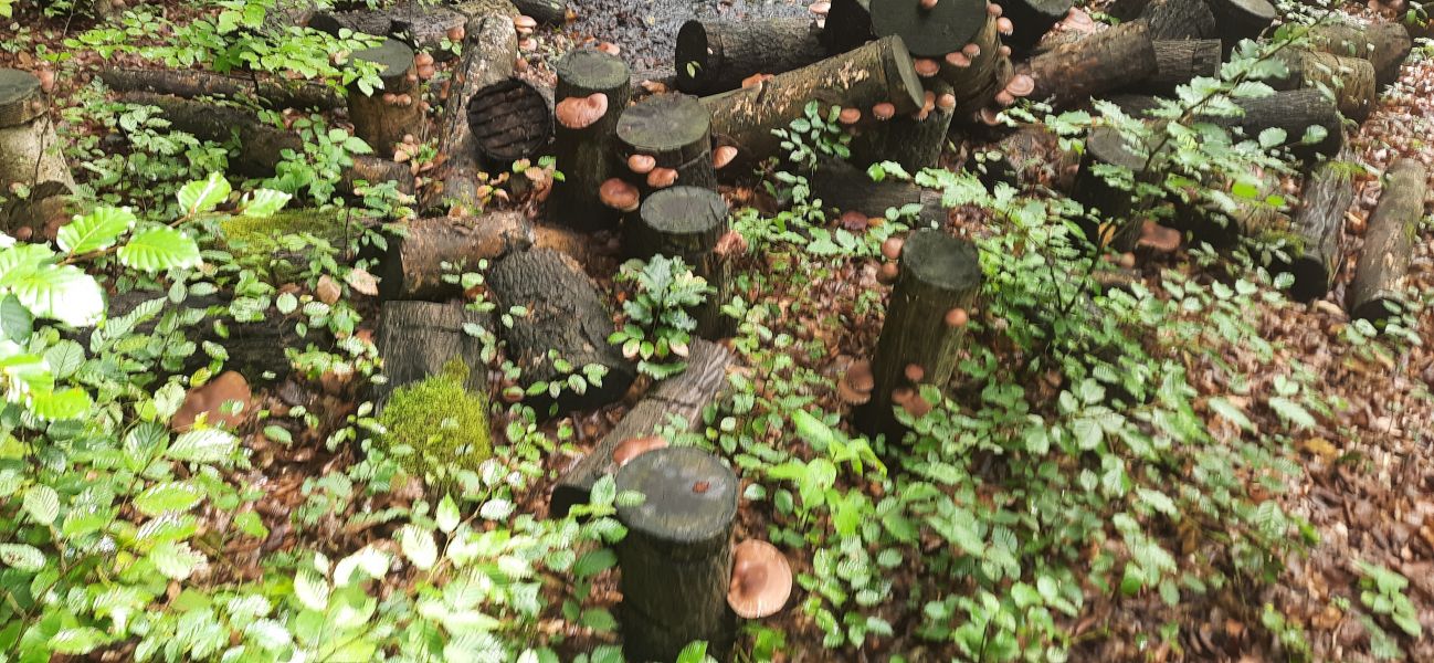 Alege produse ecologice - 39 lei/100 gr. ,pret promotional.