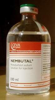 Vindem pulbere de Nembutal, Nembutal, soluție orală, 