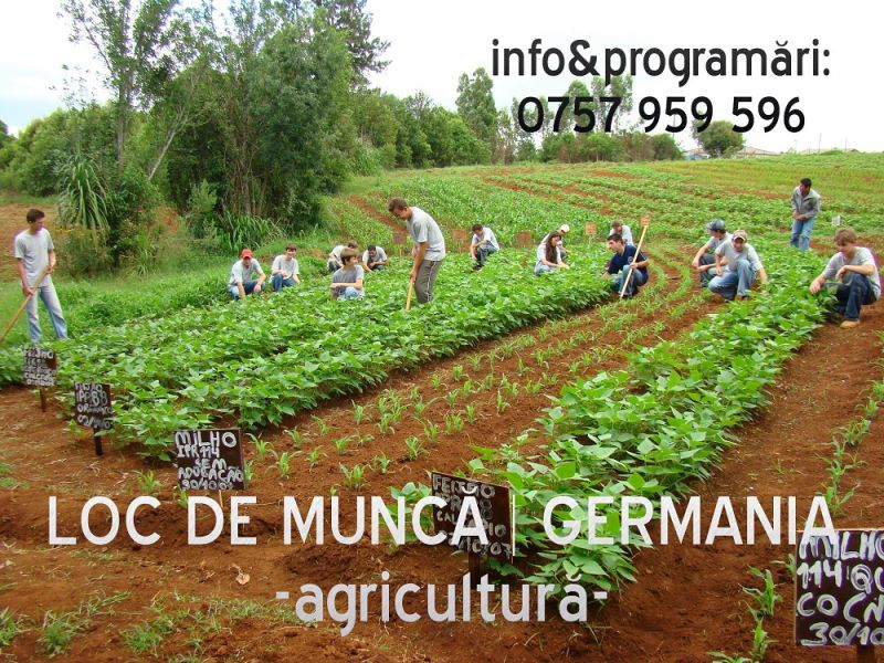 Angajari germania in agricultura