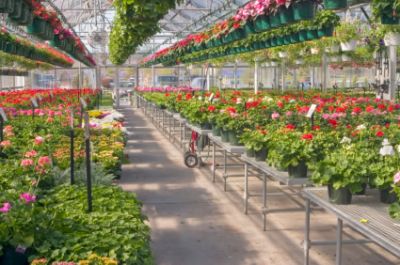 Agricultura Italia 1000 eur