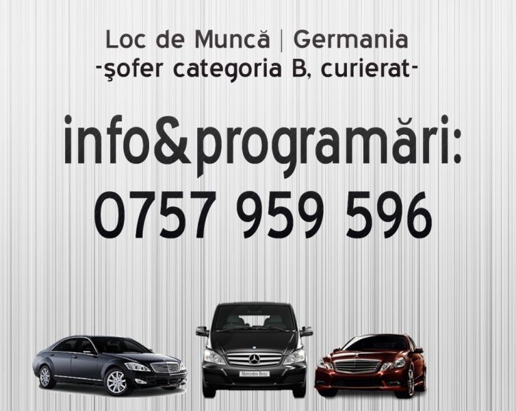 Angajari germania sofer 