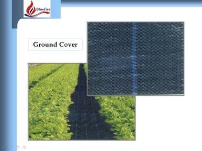 Folie AGROTEXTIL -1,60 ron/mp