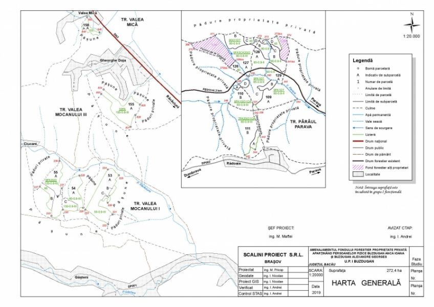 Vanzare Padure Bacau - O Investitie Verde cu 272,4 ha de Natura Salbatica