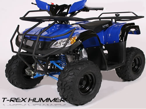 ATV NITRO MOTORS T-REX BMW M7, 2021, AUTOMAT