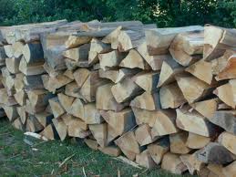 Domeniul Forestier 1400 eur