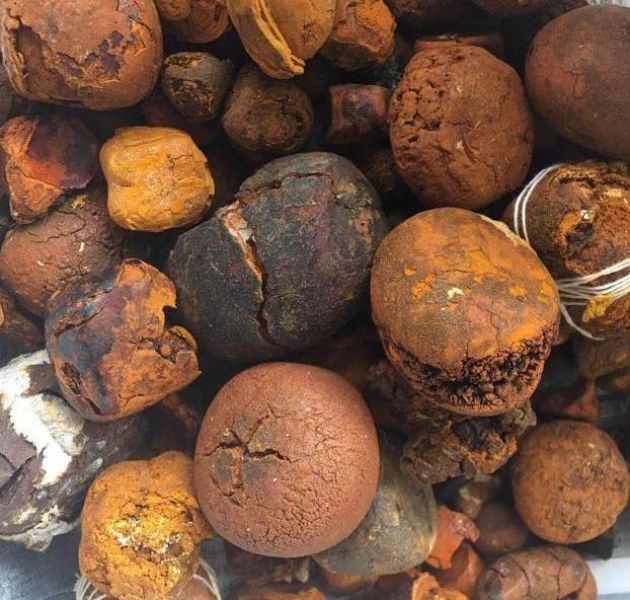 Cumpărați calculi biliari de vacă/boi disponibili acum n stoc @ (WhatsApp: +237673528224)