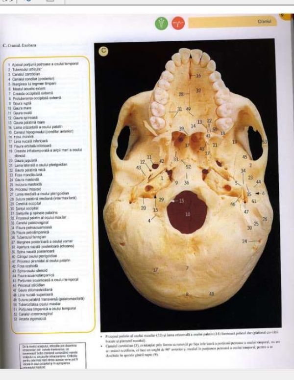 Anatomie Format pdf peste 2800 pagini