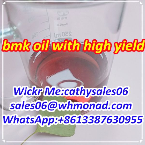 High yield rate BMK glycidate powder CAS 5449-12-7 bmk supplier new bmk oil