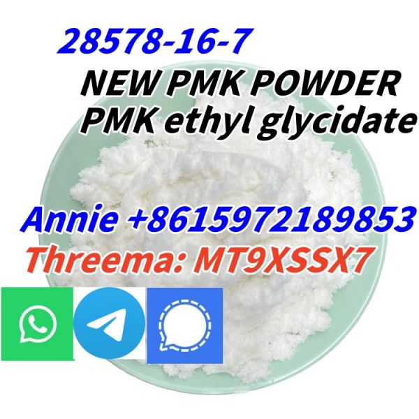 Top Quality Pmk Ethyl Glycidate Powder Oil 100% Safe Shipping CAS 28578-16-7
