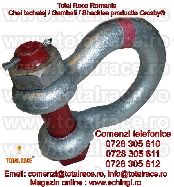Chei tachelaj omega  cu bolt, piulita si stift de blocare Crosby