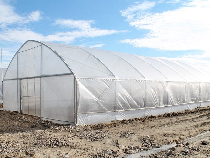 Solar gotic cu pereti verticali 10 x 40m