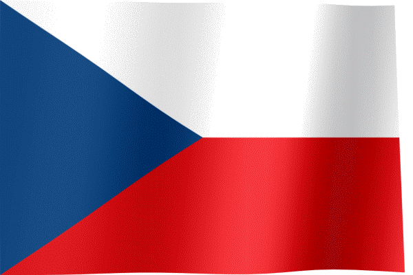 Traducator polona-ceha-slovaca-slovena-germana - Traduceri Romania  