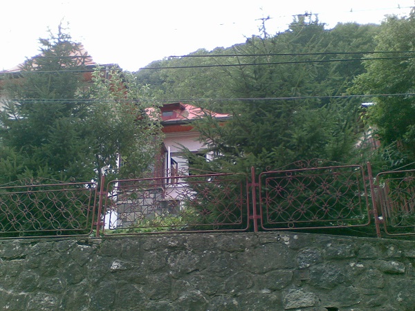 Vand casa in Sinaia