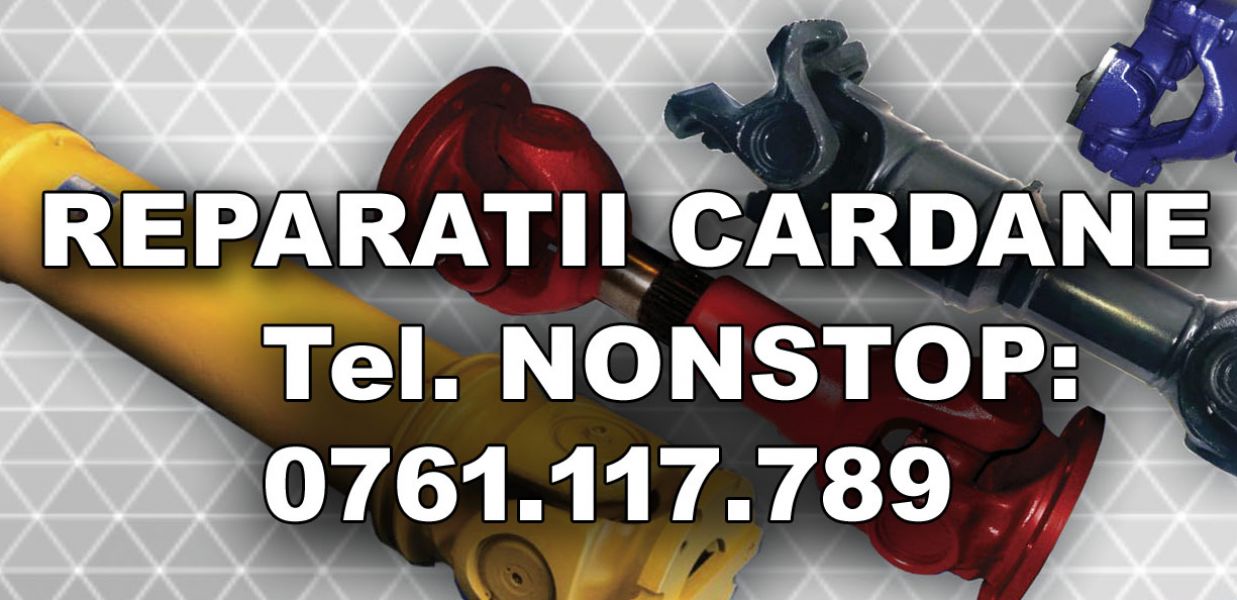 Reparatii cardane Mercedes Viano  