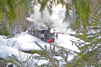 Mocanita de Anul Nou in Maramures 2021