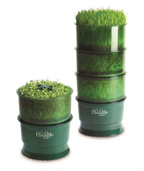 Germinator automat Freshlife 