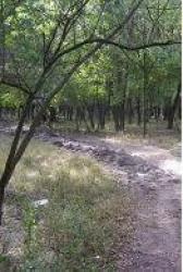 DE VANZARE, Padure stejar + salcam, Lehliu Gara (Calarasi - la 3km de A2)