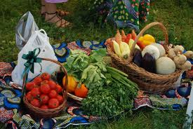 Agricultura in Germania 1200 euro