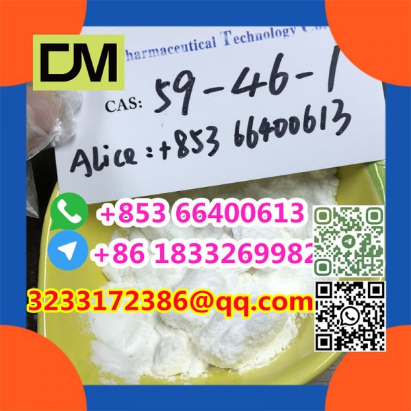 Direct Sales from China Factory CAS 59-46-1 Procaine