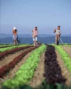 Agricultura in germania