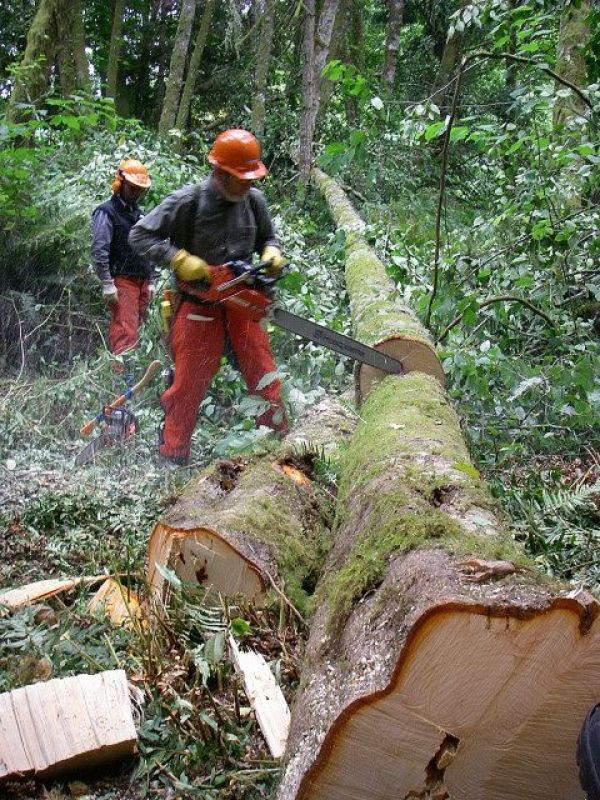 Log binning