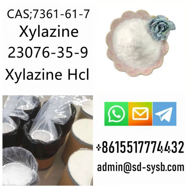 23076-35-9 Xylazine Hydrochloride	organtical intermediate	good price in stock for sale