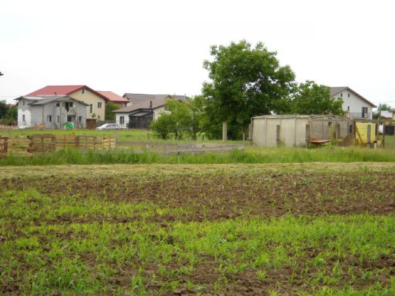 Vand lot teren de casa in Comuna Berceni Ilfov
