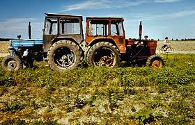 LOCURI DE MUNCA IN AGRICULTURA/1200 EURO