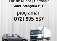 Sofer categoria B, C+E in Germania. 