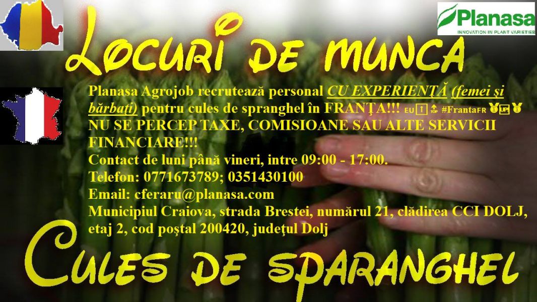 Munca in Franta la sparanghel