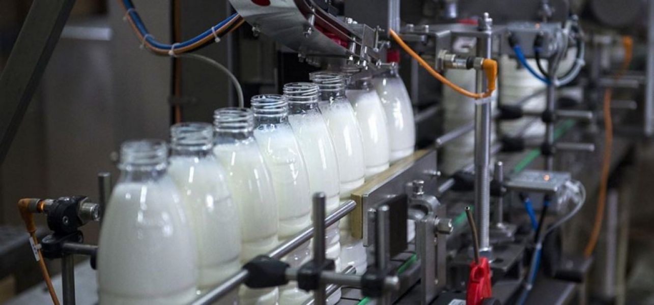 Oportunitate de Muncă n Germania - Fabrica de Lactate