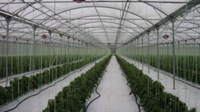 Agricultura Germania/Austria 1200 Euro