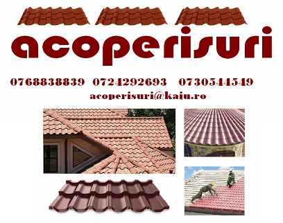 Acoperisuri | acoperisuri case |montaj acoperisuri
