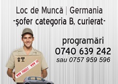 Angajari germania sofer 