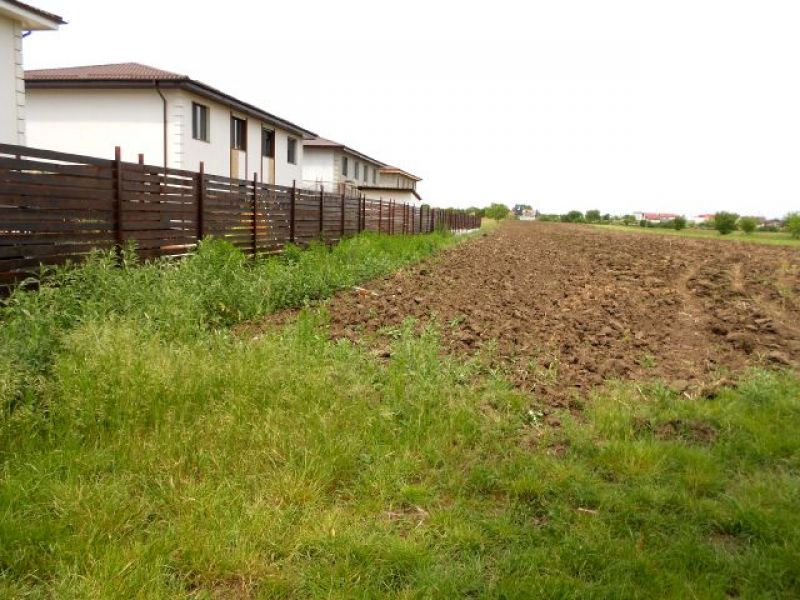 Vand teren intravilan construibil in Berceni Ilfov
