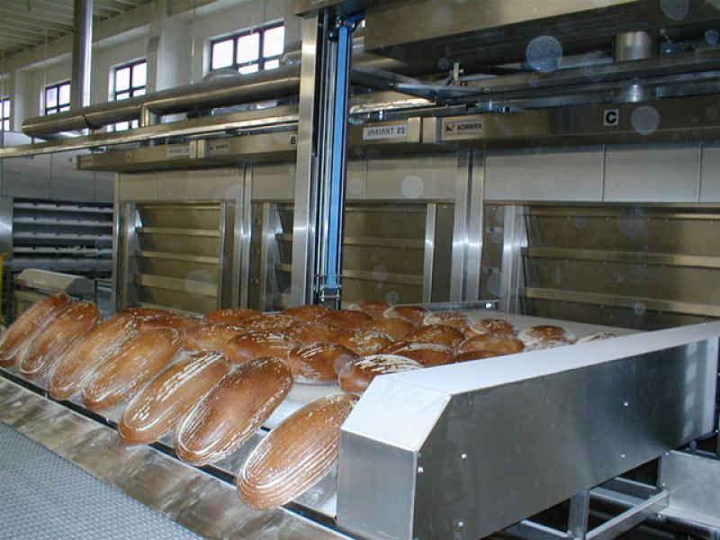 Fabrica de paniicatii