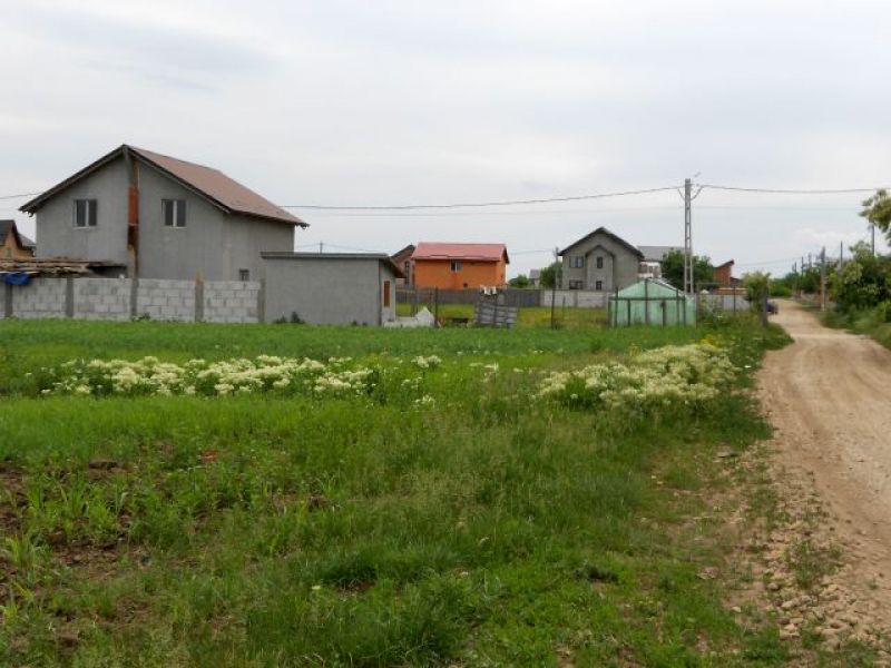 Vand teren de casa in Comuna Berceni Ilfov