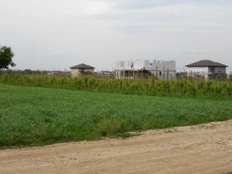 Vand terenuri intravilane in Comuna Berceni Ilfov