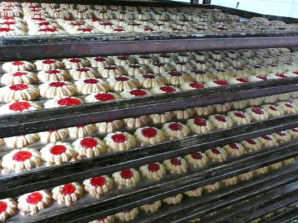 Fabrica de biscuiti-Germania, 1500 euro