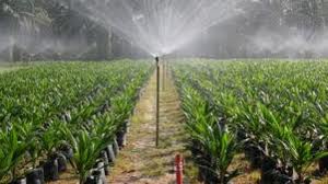 Agricultura Germania/1200 euro