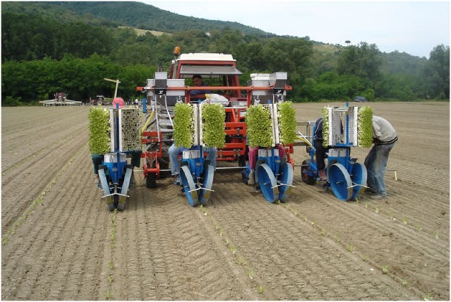 Mecanici agricoli Germania