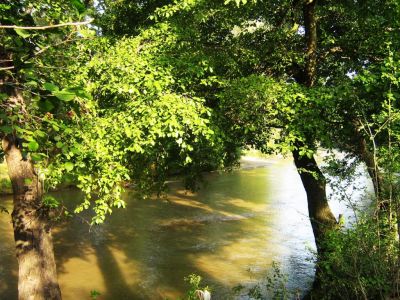 Vand teren arabil,padure si conac mare in judetul Valcea 