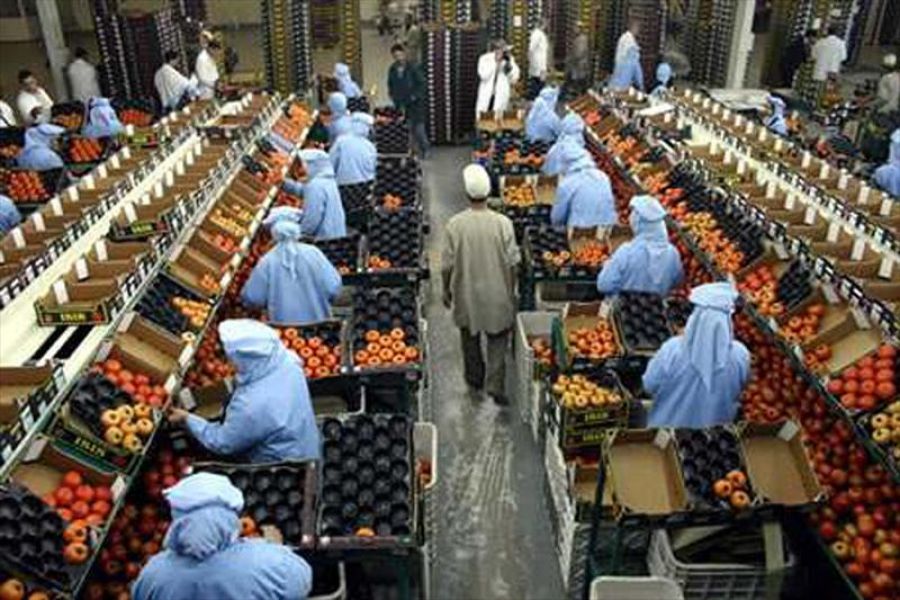 Angajari in depozite de fructe si legume 1400 euro!